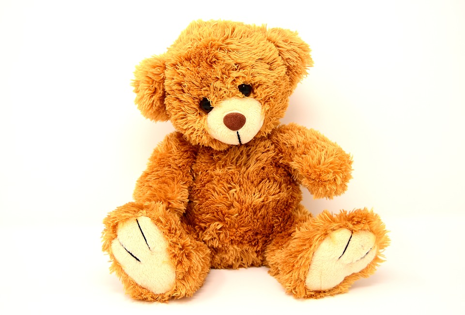 teddy-2989138_960_720.jpg