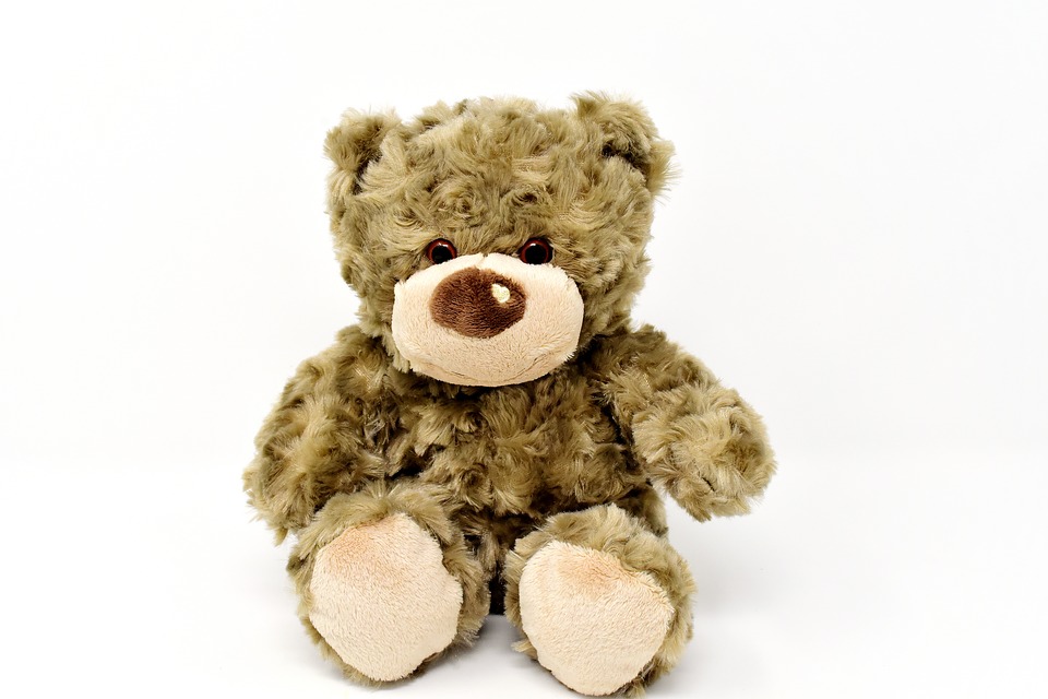 teddy-3122024_960_720.jpg