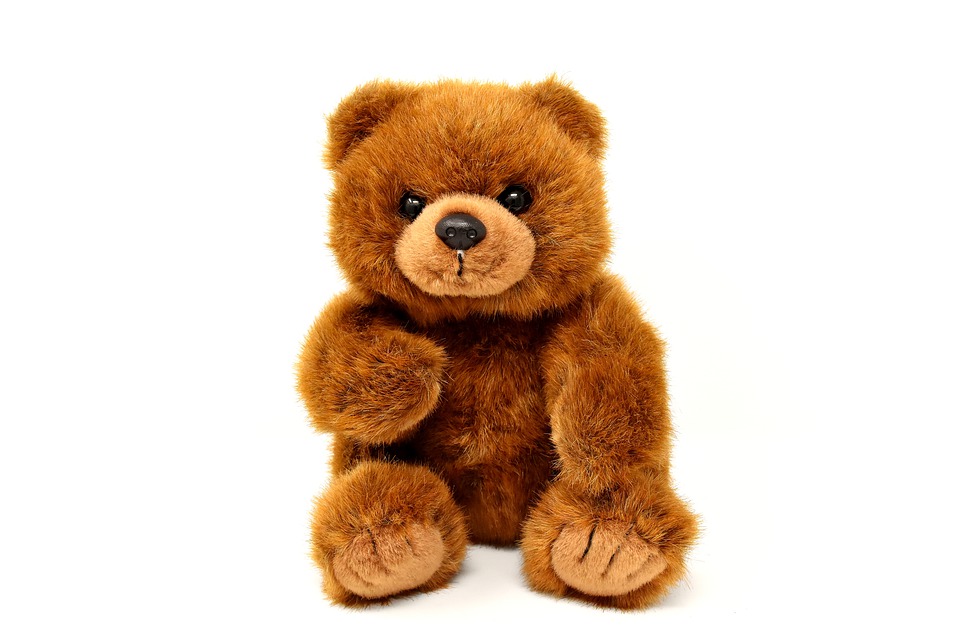 teddy-3131095_960_720.jpg
